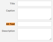 How To Write SEO Friendly Blog Posts Alt image text